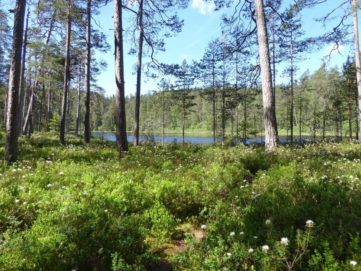 Ydrefors Bed & Breakfast Exteriér fotografie